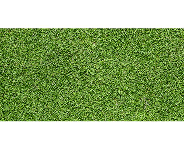 Gạch Đồng Tâm 3060GREENERY001