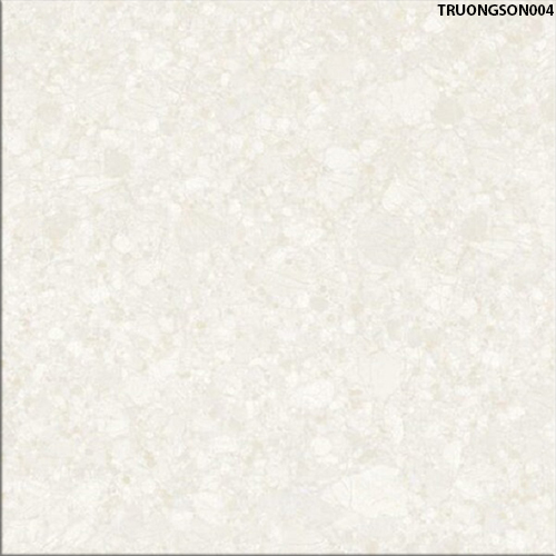 60x60 Đồng Tâm TRUONGSON004