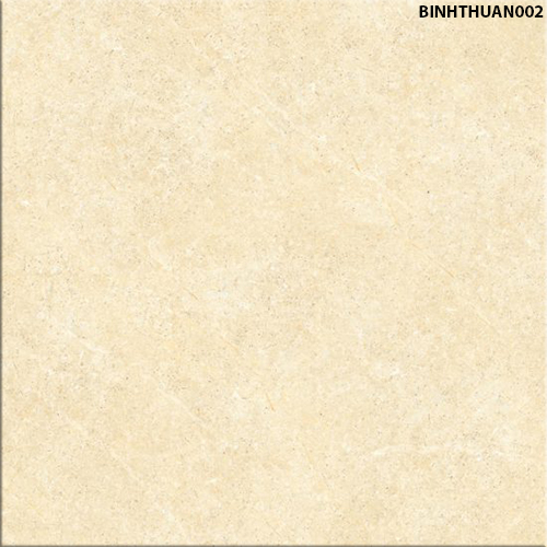 60X60 Đồng Tâm BINHTHUAN002