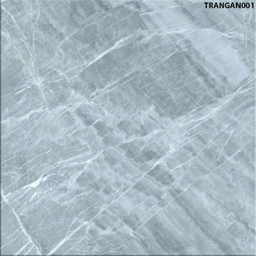 60x60 Đồng Tâm TRANGAN001