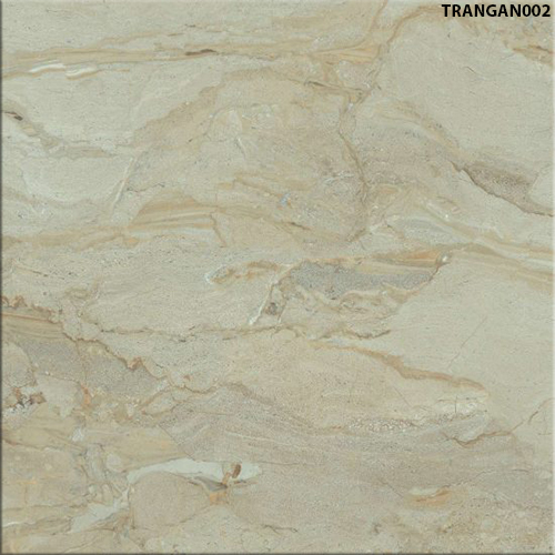 60x60 Đồng Tâm TRANGAN002