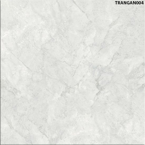 60x60 Đồng Tâm TRANGAN004