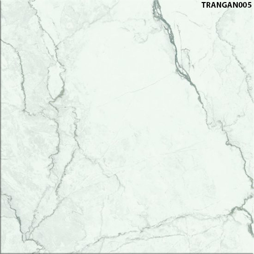 60x60 Đồng Tâm TRANGAN005