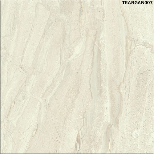 60x60 Đồng Tâm TRANGAN007