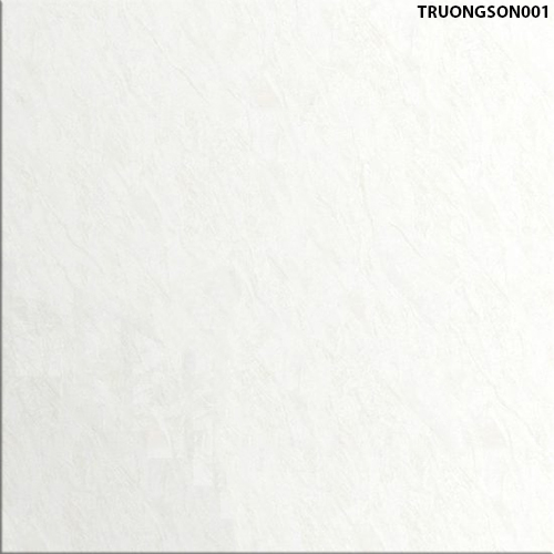 60x60 Đồng Tâm TRUONGSON001