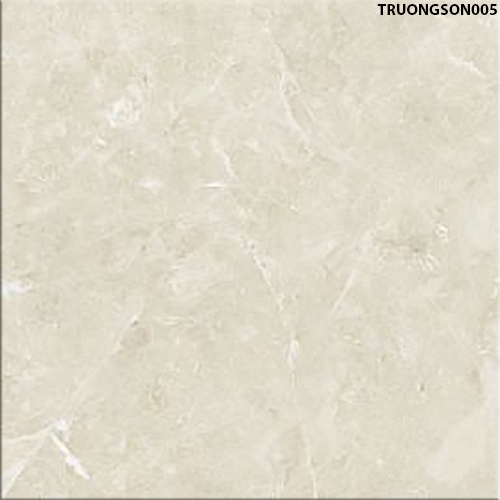 60X60 Đồng Tâm TRUONGSON005