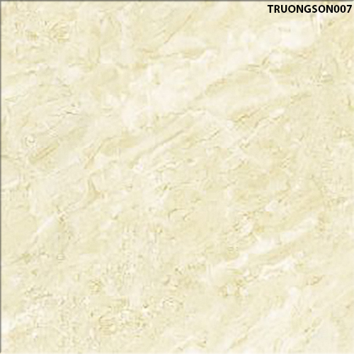 60x60 Đồng Tâm TRUONGSON007