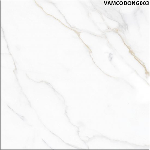 60x60 Đồng Tâm VAMCODONG003