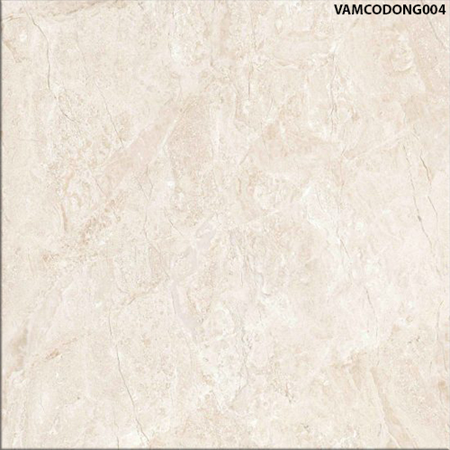 60x60 Đồng Tâm VAMCODONG004