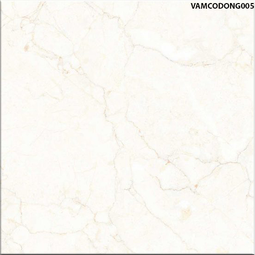 60x60 Đồng Tâm VAMCODONG005