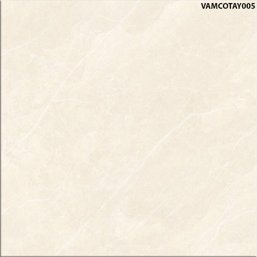 60x60 Đồng Tâm VAMCOTAY005