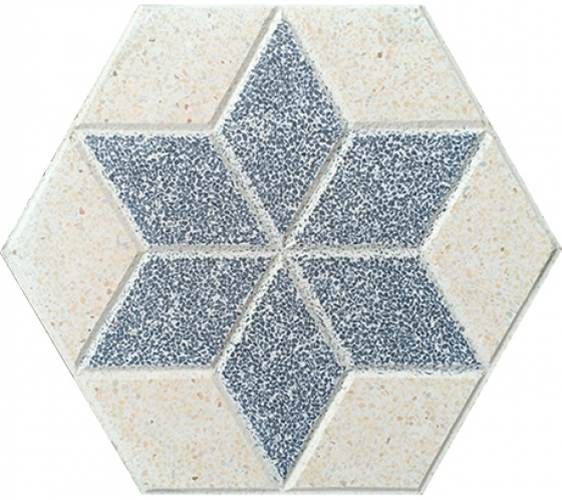 Gạch terrazzo OD2-HX3