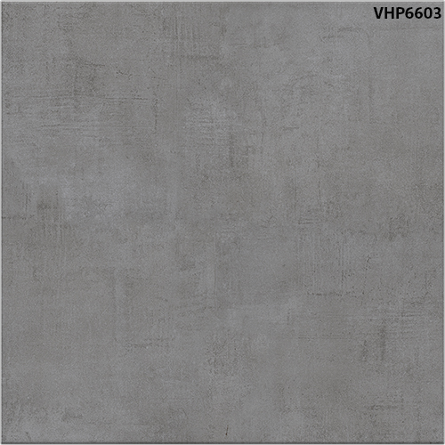 60x60 Viglacera VHP6603