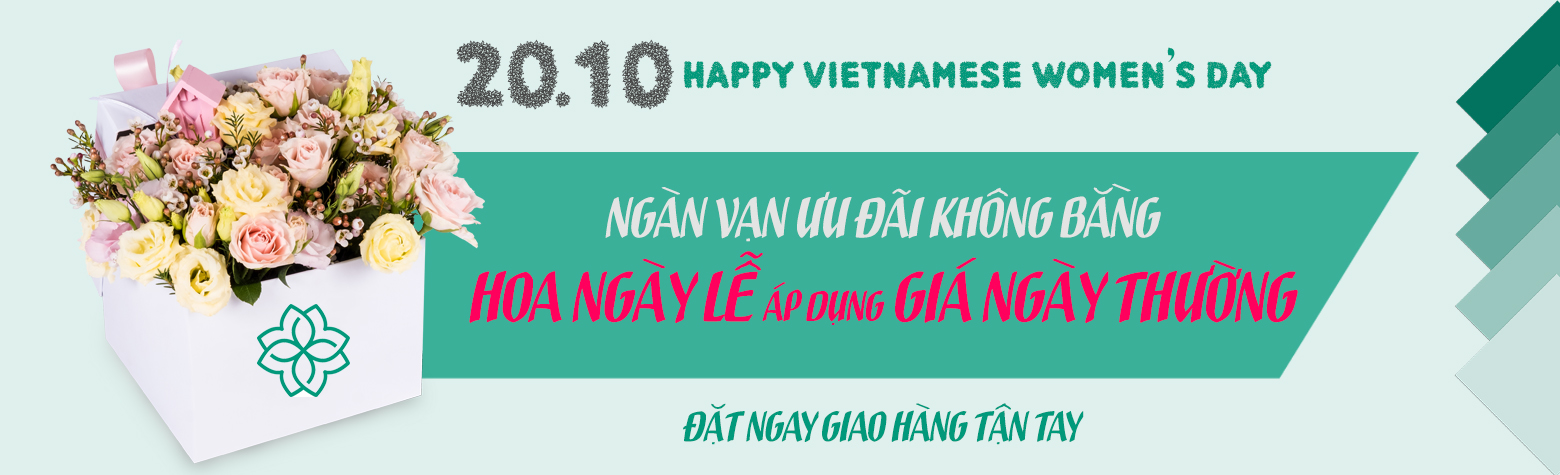 Chính sách và điều khoản