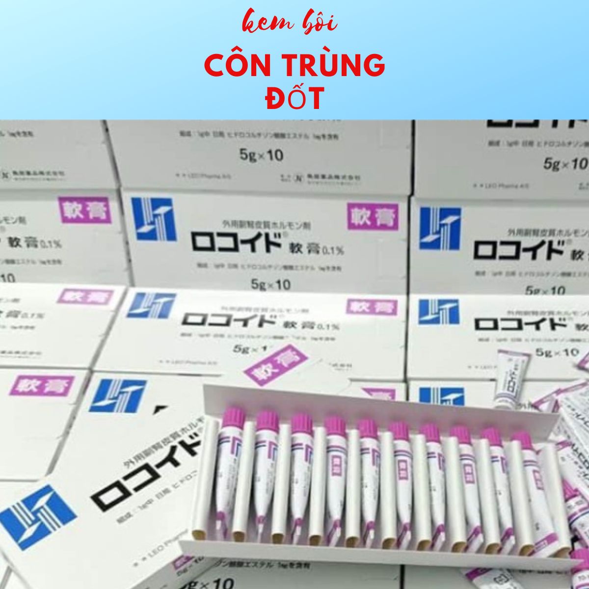 Kem Bôi Vết Muỗi, Côn Trùng Cắn Rokoito Locoid Ointment-5g